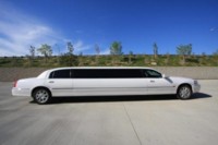 Highlight for Album: Limousines